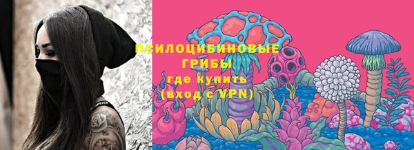 соль курить ск Алзамай