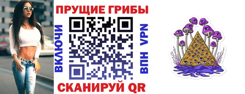 Псилоцибиновые грибы мухоморы  Купить закладки  Петропавловск-Камчатский 
